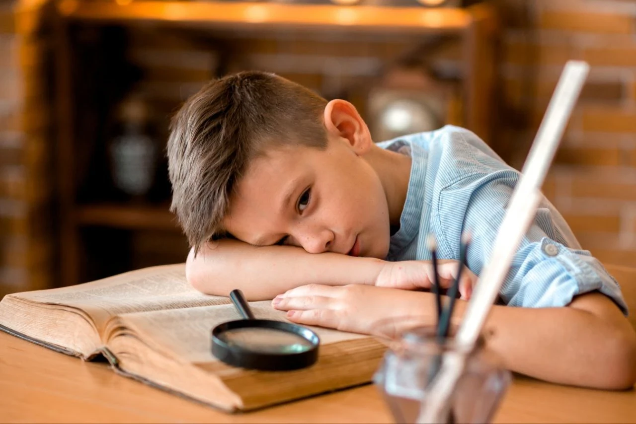 Навчальні програми