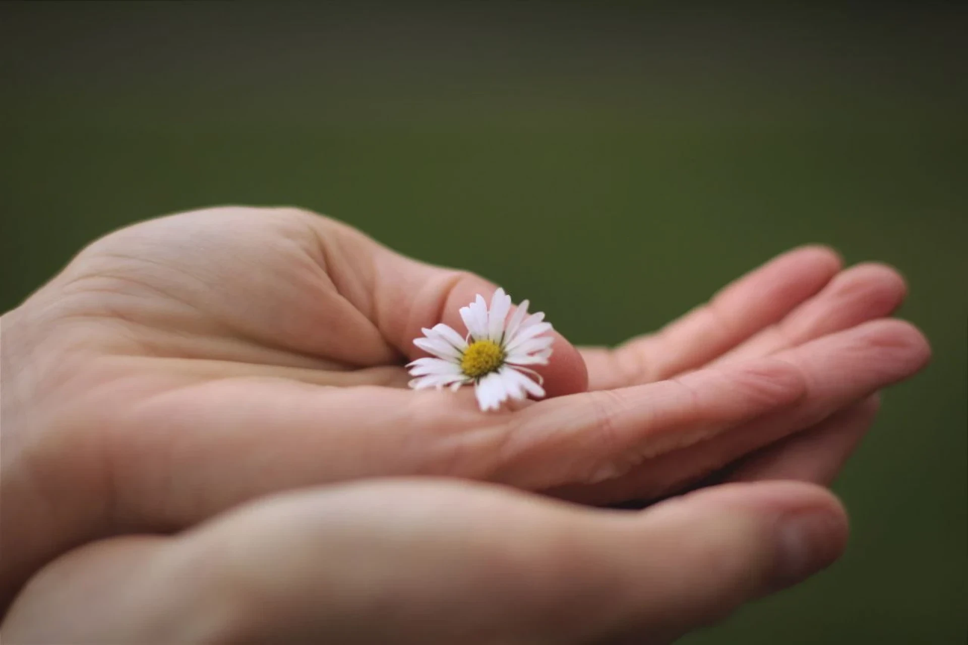 Контакт-центр